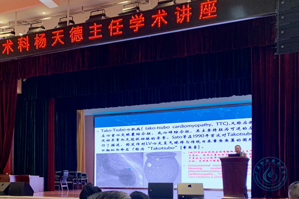 图片156