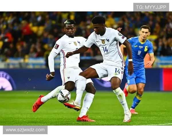 记者称楚阿梅尼检查无碍即将复出